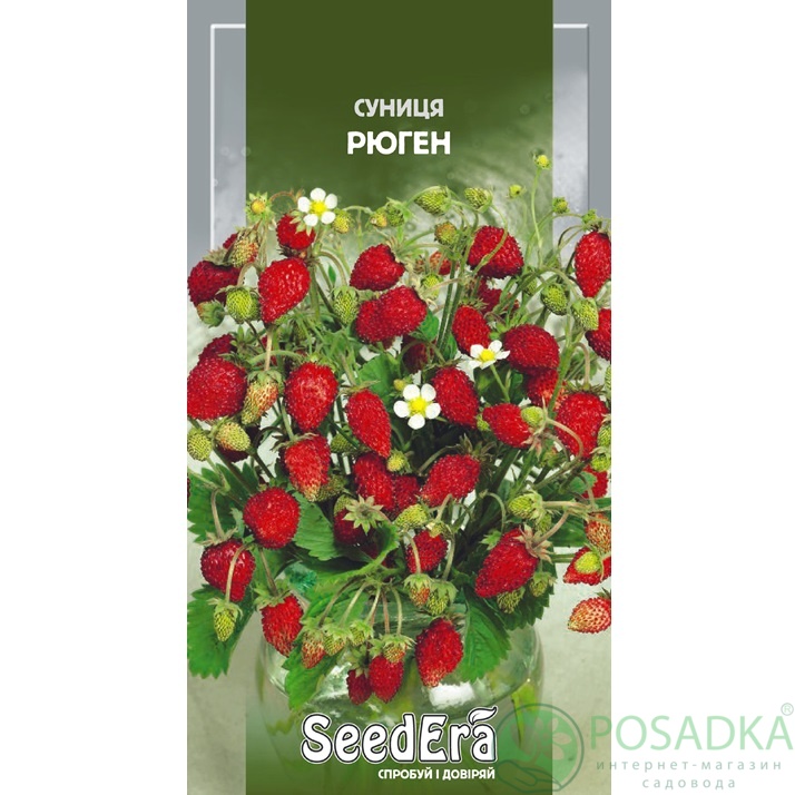 картинка Семена Земляника Рюген 0,05 г, Seedera картинка Семена Земляника Рюген 0,05 г, Seedera