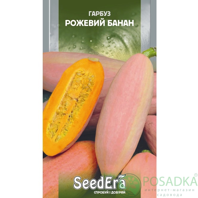 картинка Семена Тыква Розовый Банан 10 шт, Seedera картинка Семена Тыква Розовый Банан 10 шт, Seedera