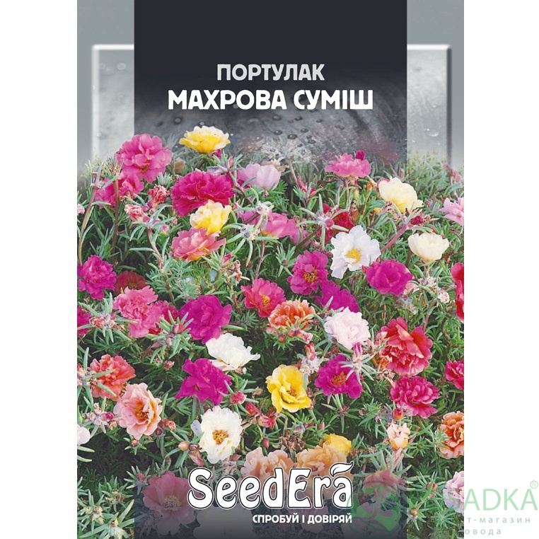 картинка Семена Портулак Махровая Смесь 3 г, Seedera картинка Семена Портулак Махровая Смесь 3 г, Seedera