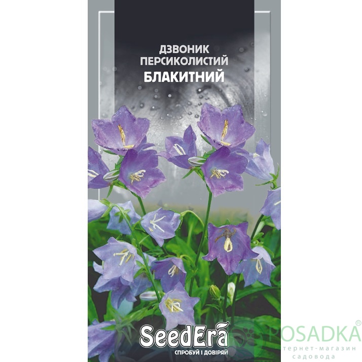 картинка Семена Колокольчик персиколистный голубой 0,2 г, Seedera 