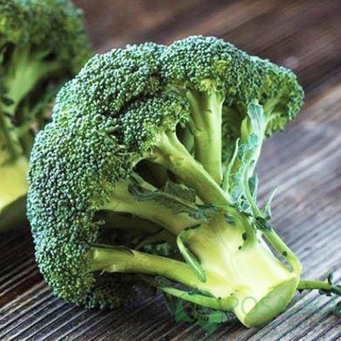 картинка Семена Капуста брокколи Себастьян 0.3 г, Seedera 