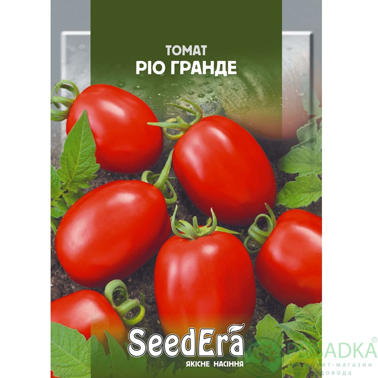 картинка Семена Томат Рио Гранде 3 г, SeedEra картинка Семена Томат Рио Гранде 3 г, SeedEra