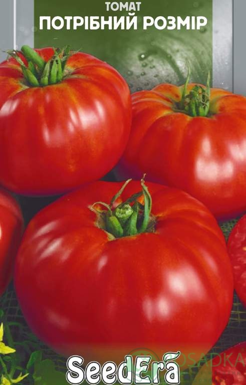 картинка Семена Томат Нужный размер 0.1гр, SeedEra 