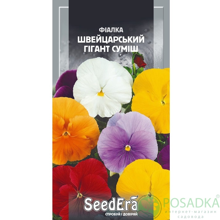 картинка Семена Фиалка Садовая Двулетняя Швейцарский Гигант Смесь 0,1г, Seedera картинка Семена Фиалка Садовая Двулетняя Швейцарский Гигант Смесь 0,1г, Seedera