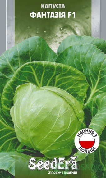 картинка Капуста белокочанная Фантазия F1 семена (0.25гр) 