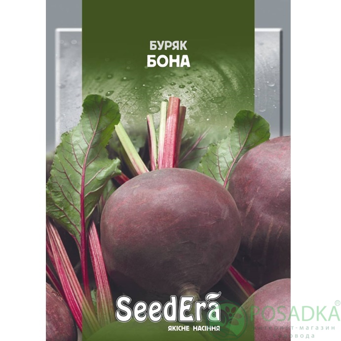 картинка Семена Свекла Столовая Бона 10 г, SeedEra 