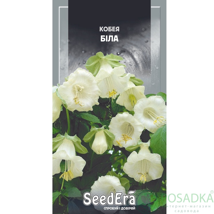 картинка Семена Кобея белая 0,25 г, Seedera 