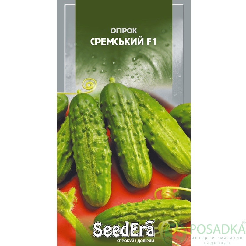 картинка Семена Огурец Сремський F1 Seedera, 0,5 г, Seedera 