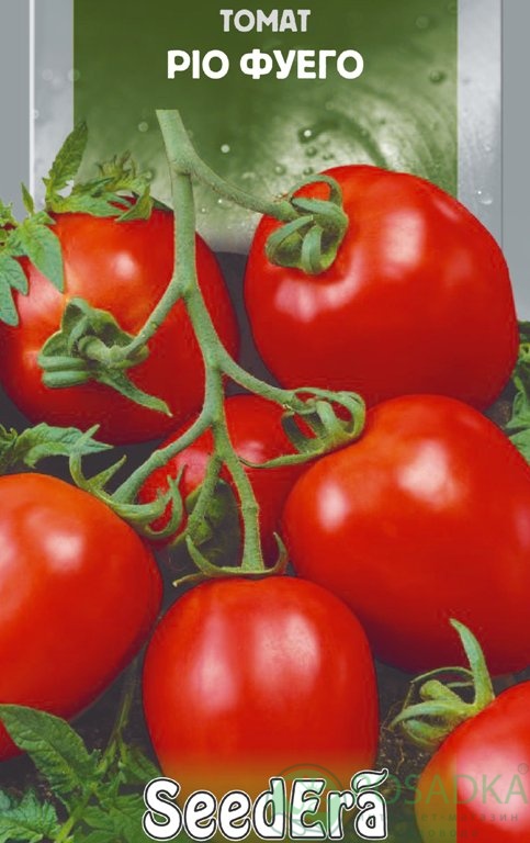 картинка Семена Томат Рио Фуего 0.1гр, SeedEra 