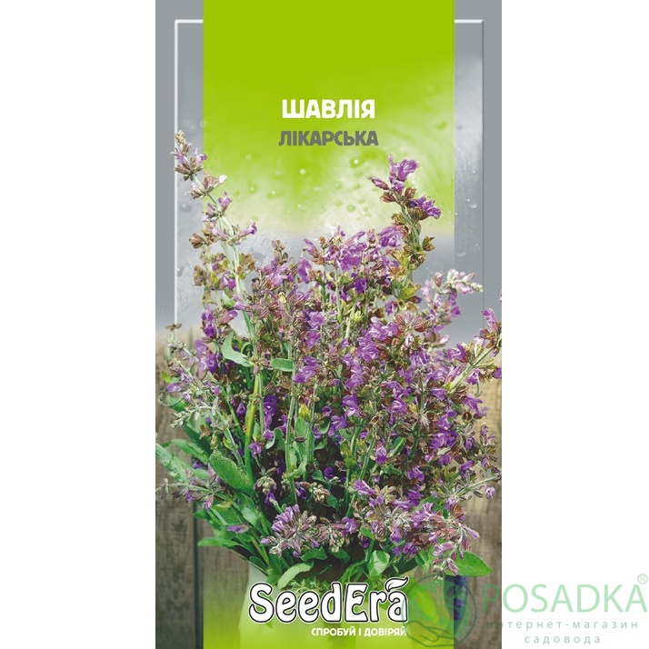 картинка Семена Шалфей Лекарственный 0.3гр, Seedera картинка Семена Шалфей Лекарственный 0.3гр, Seedera