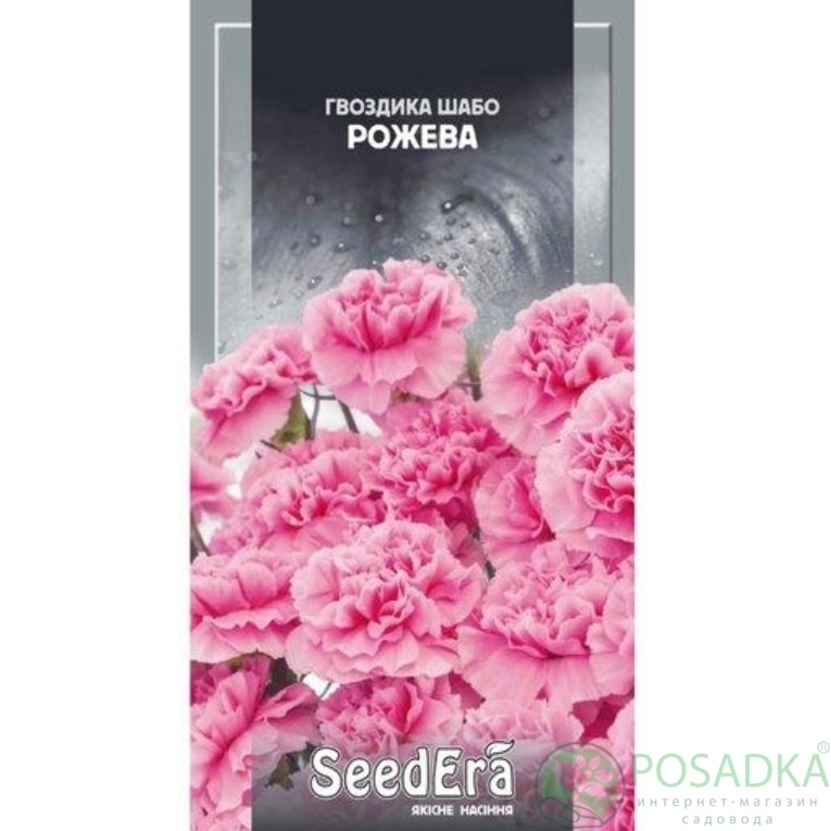 картинка Семена Гвоздика Шабо Махровая Розовая 0,2 г SeedEra картинка Семена Гвоздика Шабо Махровая Розовая 0,2 г SeedEra