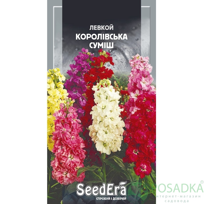 картинка Семена Левкой Королевская смесь 0,2 г, Seedera 