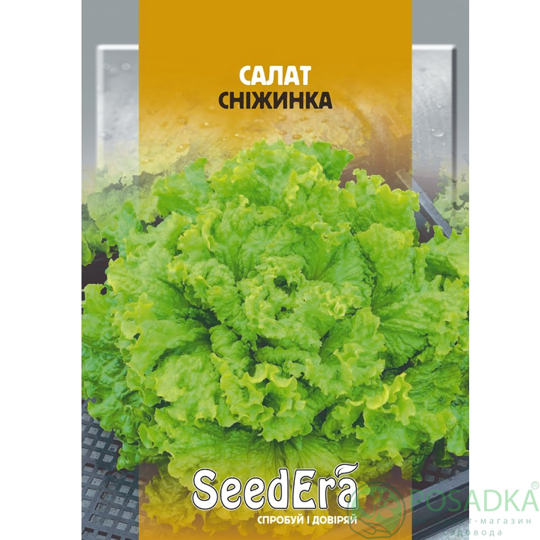 картинка Семена салат Снежинка (листовой), 10 г, SeedEra 