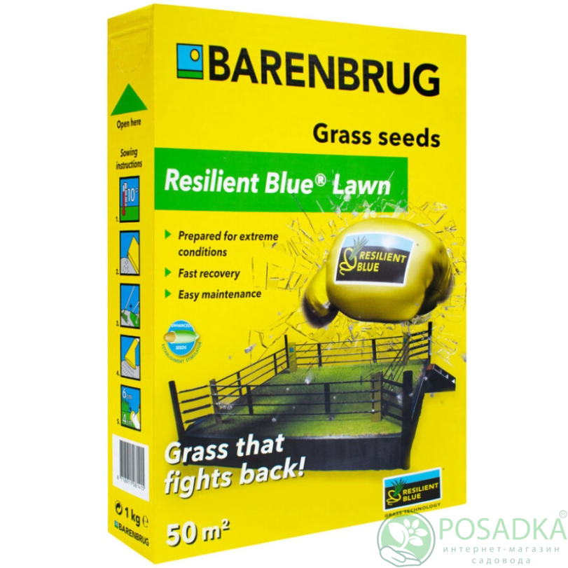 картинка Газонная трава Resilient Blue Lawn  1 кг Barenbrug 