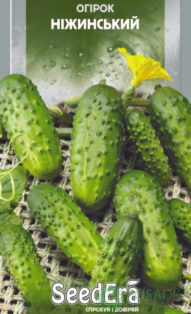 картинка Семена Огурец Нежинский 1гр, SeedEra 