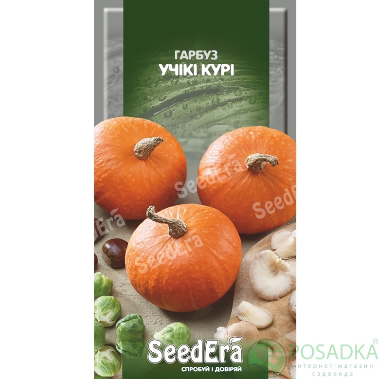 картинка Семена Тыква Учики Кури 3 г Seedera 
