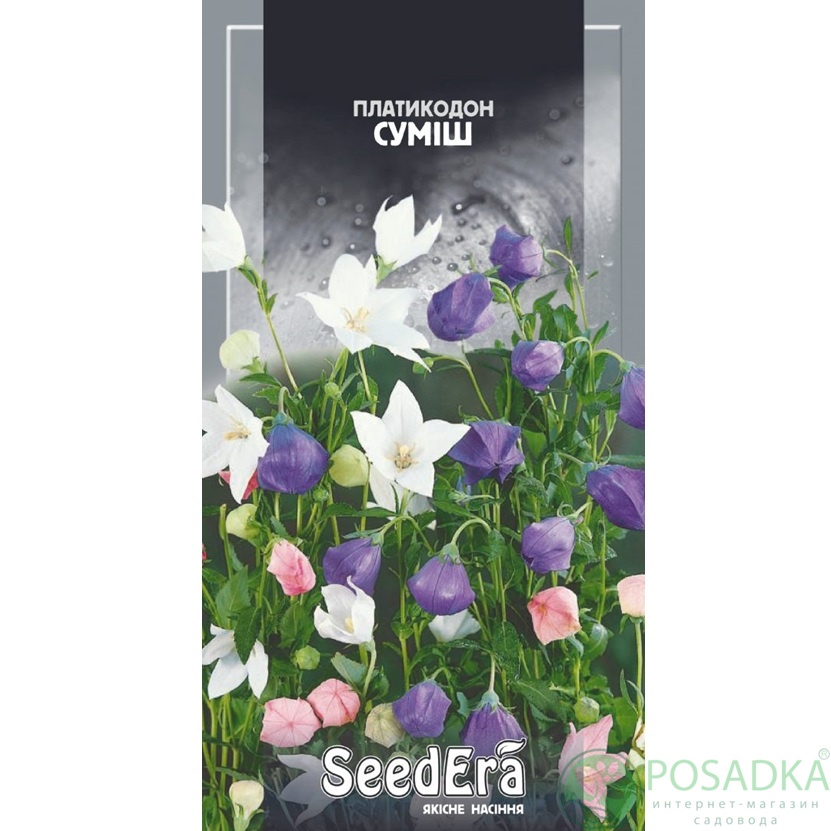 картинка Семена Платикодон крупноцветная смесь многолетний 0,1 г Seedera 