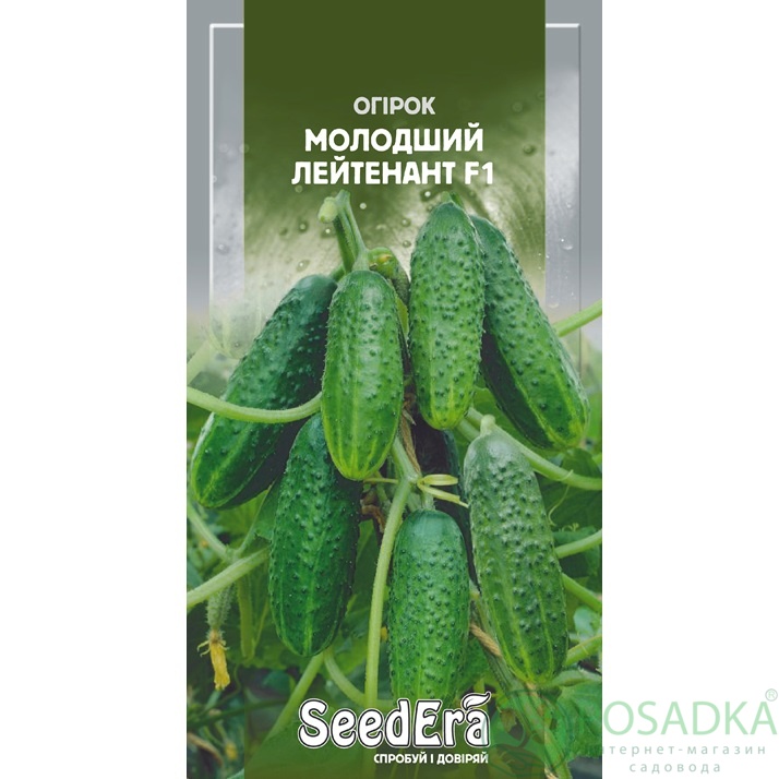 картинка Семена Огурец Младший Лейтенант F1, 10шт, Seedera 