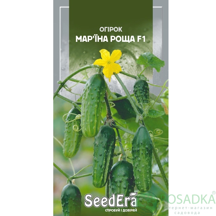 картинка Семена Огурец Марьина роща F1, 10 шт. Seedera 