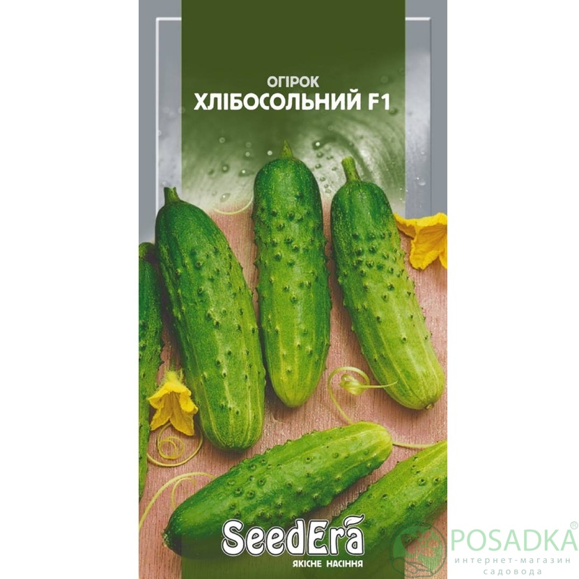 картинка Семена Огурец Хлебосольный F1 Seedera, 10 шт Seedera 