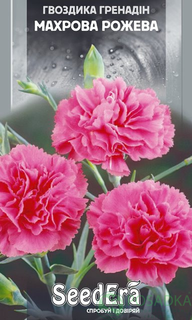 картинка Семена Гвоздика Садовая Гренадин махровая розовая двухлетняя 0.2гр, SeedEra 