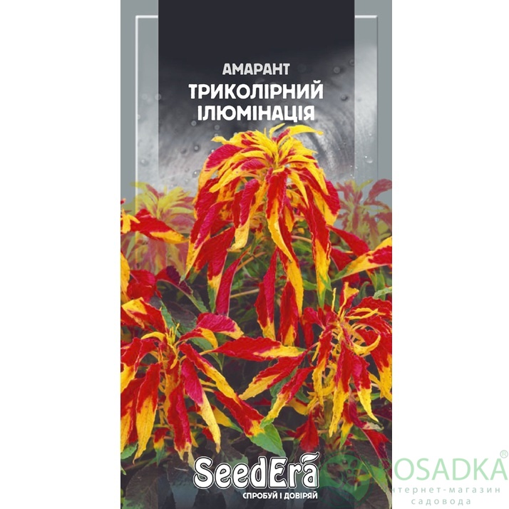 картинка Семена Амарант Трехцветный Иллюминация 0,3 г, Seedera 