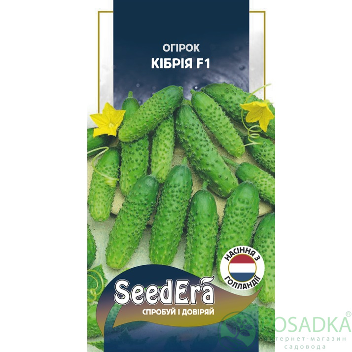 картинка Семена Огурец Кибрия F1 10 шт, Seedera Profi картинка Семена Огурец Кибрия F1 10 шт, Seedera Profi