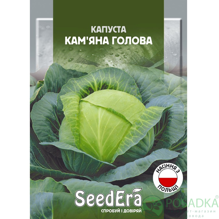 картинка Семена капуста белокочанная Каменная голова 10 г, SeedEra 