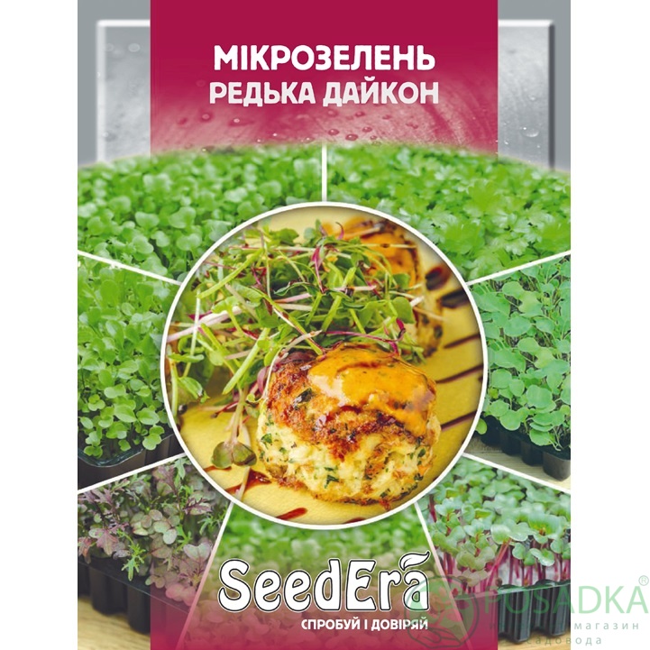 картинка Семена Микрозелень Редька Дайкон 10гр, SeedEra 
