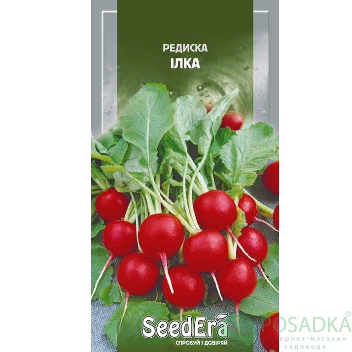 картинка Семена Редис Илка 10 г, SeedEra 