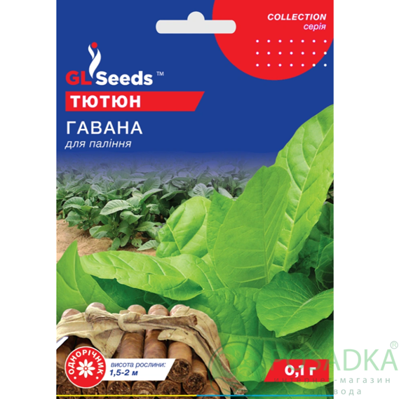 картинка Семена Табак курительный кубинский Гавана 0.1г, TM GL Seeds 