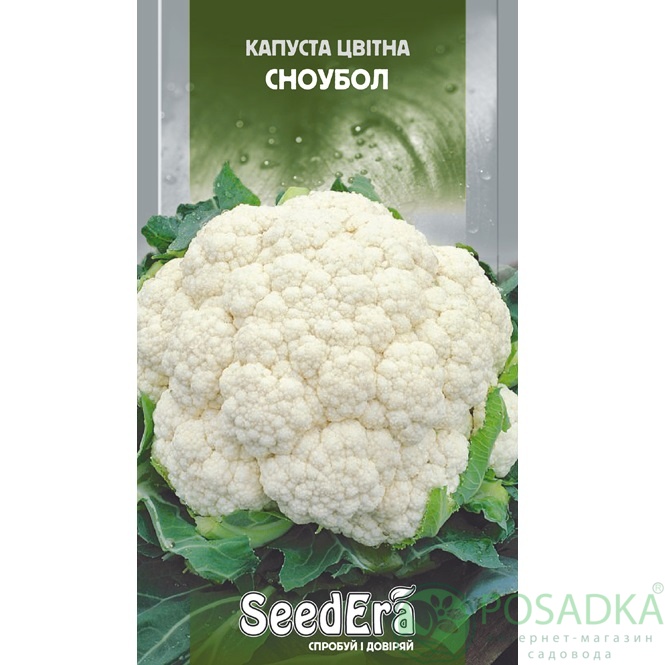 картинка Семена Капуста цветная Сноубол 0,5 г, Seedera 