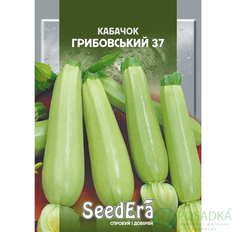 картинка Семена Кабачок Грибовский 37, 20 г, SeedEra 