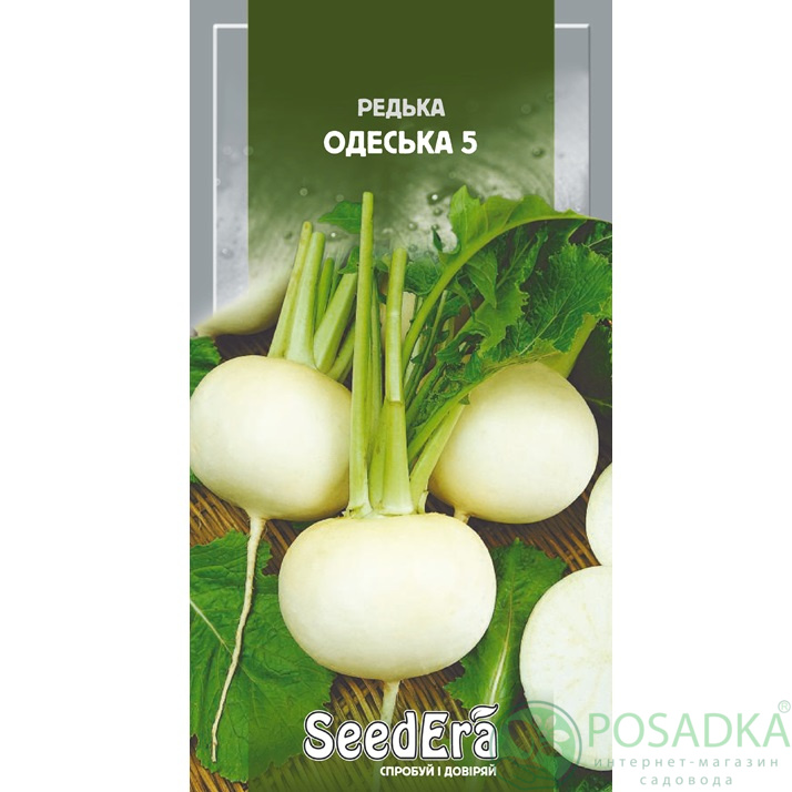 картинка Семена редька Одесская 5, 10 г, SeedEra 