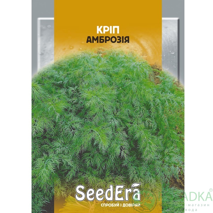 картинка Семена Укроп Амброзия, 20 г, Seedera 