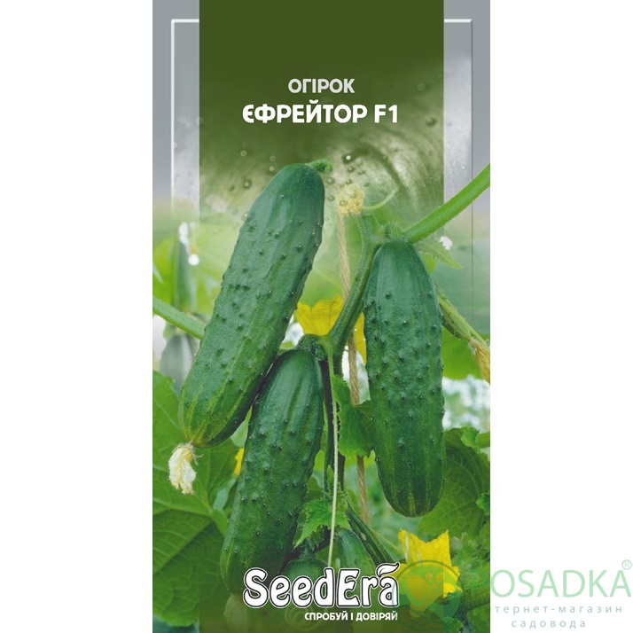 картинка Семена Огурец Ефрейтор F1, 10шт, Seedera 