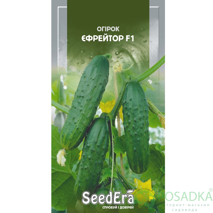 картинка Семена Огурец Ефрейтор F1, 10шт, Seedera картинка Семена Огурец Ефрейтор F1, 10шт, Seedera