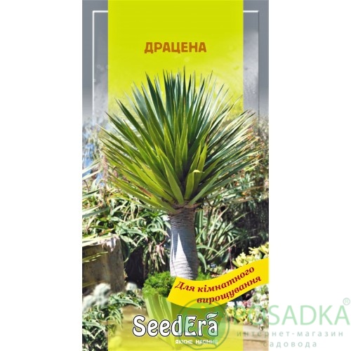 картинка Семена Драцены 2шт, SeedEra картинка Семена Драцены 2шт, SeedEra