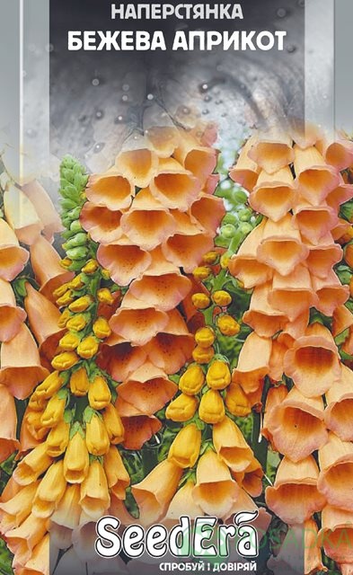 картинка Наперстянка Бежевая Априкот многолетняя семена (0.1гр) 