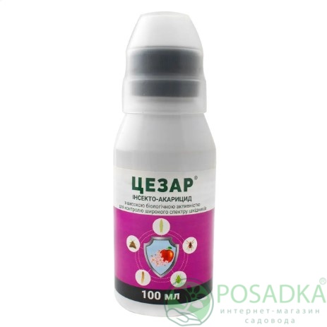 картинка Инсектицид Цезарь 100 мл, ProtectON 
