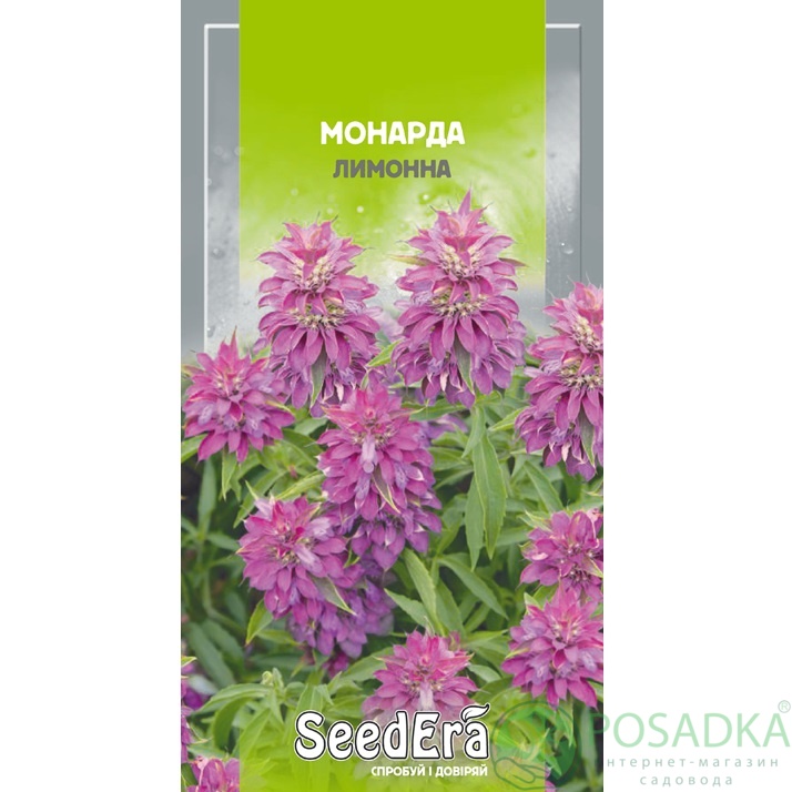 картинка Семена Монарда Лимонная 0,1г, Seedera 