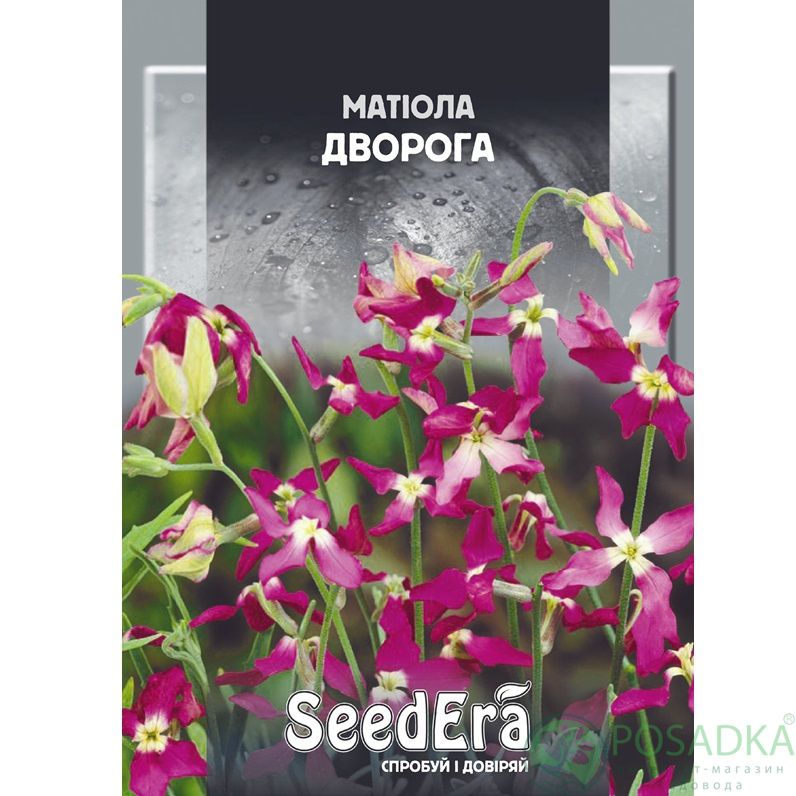 картинка Семена Маттиола двурогая 5г, SeedEra 