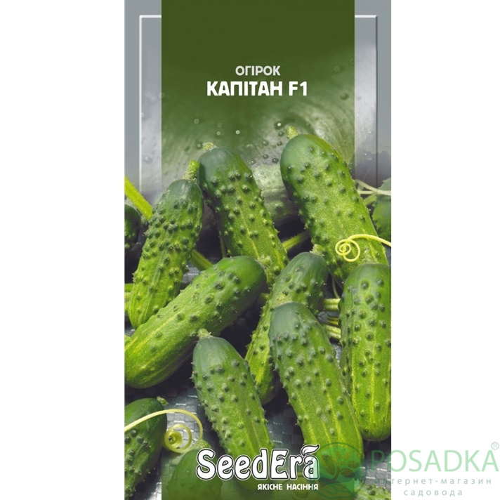 картинка Семена Огурец Капитан F1, 10шт, Seedera 