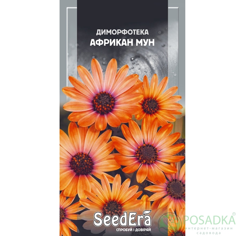 картинка Семена Диморфотека Африкан Мун 0,2, Seedera 