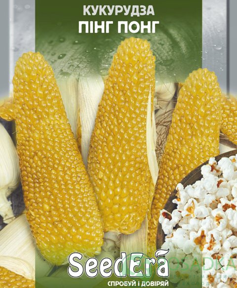 картинка Семена кукуруза Пинг Понг, 20 гр, SeedEra 