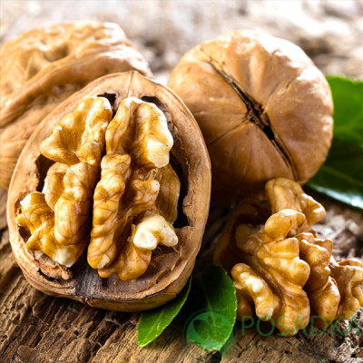 картинка Грецкий орех Песчанский (2 летний) 