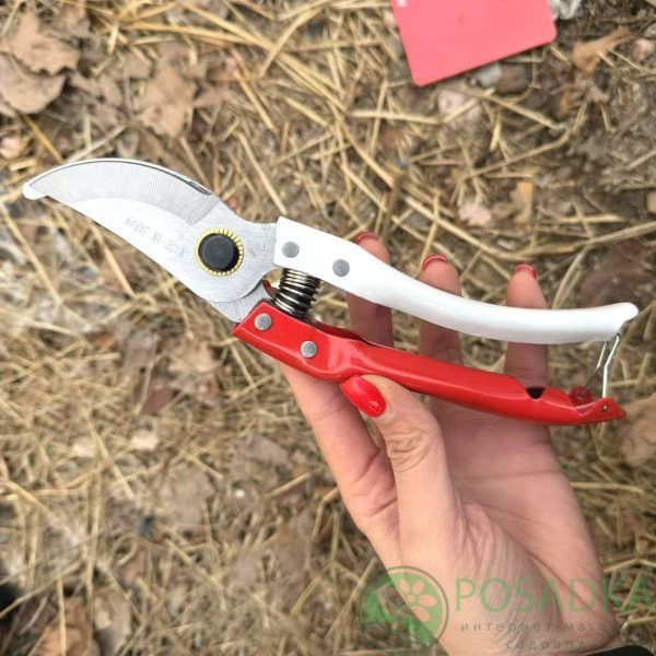 картинка Секатор садовый Fengshuo, 220 мм 