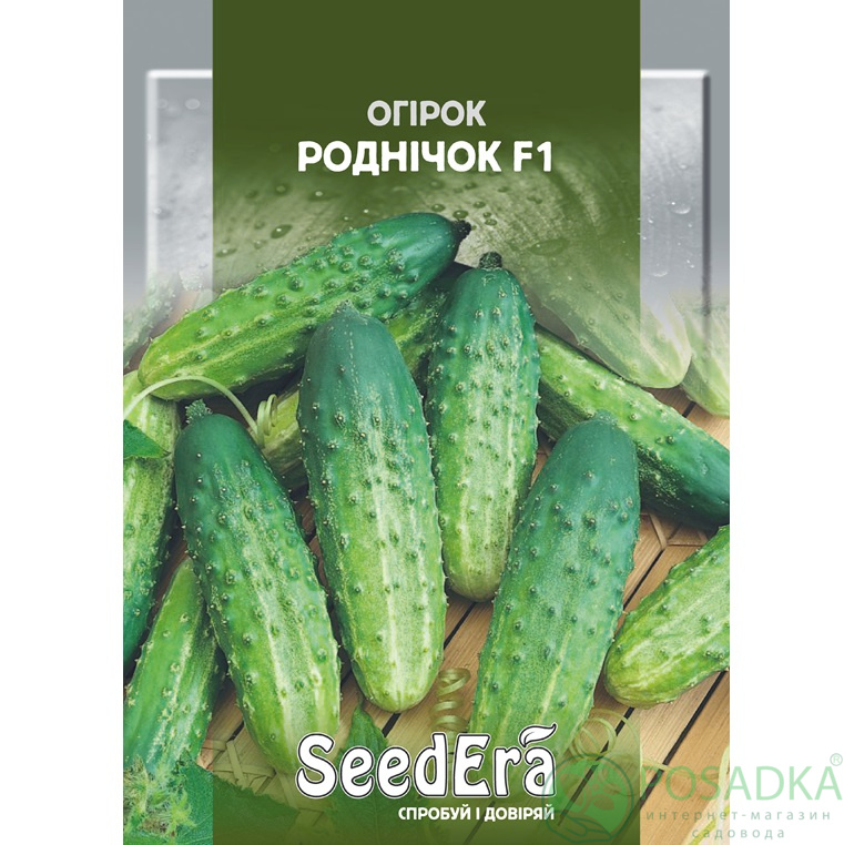 картинка Семена Огурец Родничок F1, 5г, Seedera картинка Семена Огурец Родничок F1, 5г, Seedera