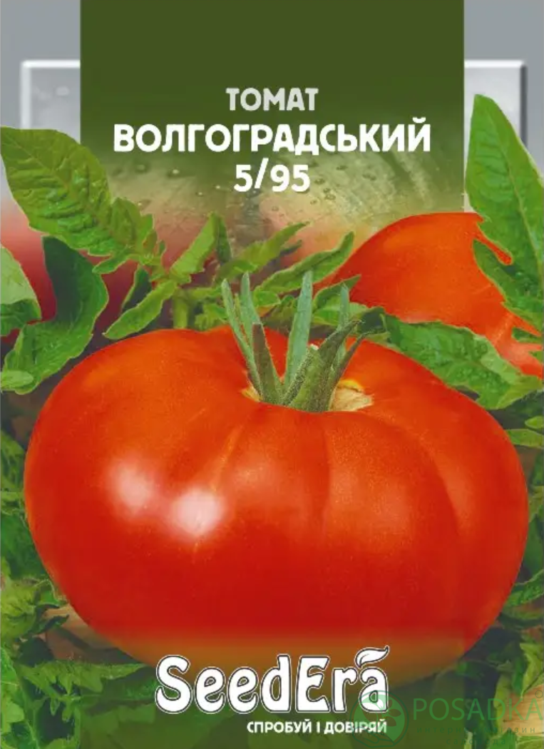 картинка Семена томат Волгоградский 5/95 0,1 г, Seedera картинка Семена томат Волгоградский 5/95 0,1 г, Seedera