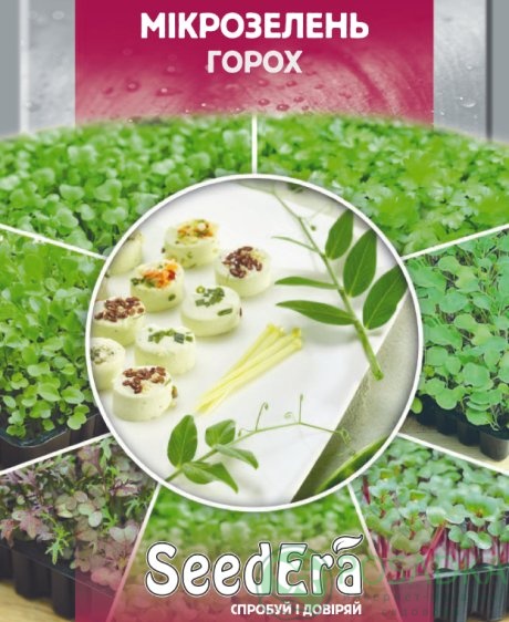 картинка Семена Микрозелень Горох 20гр, SeedEra 